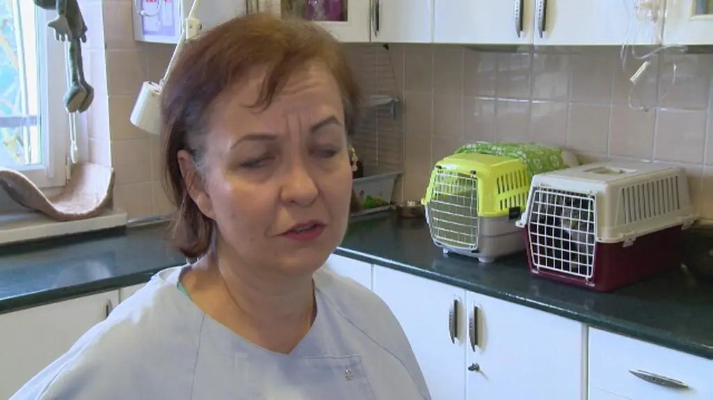 Rozmowa z Lucyną Kuziel–Zawalich właścicielką kota o jego zachowaniu