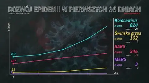 Rozwój epidemii w ciągu pierwszych 36 dni