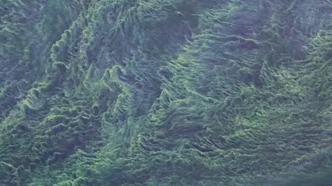 Sinice w Bałtyku (film NASA z 2015 roku)