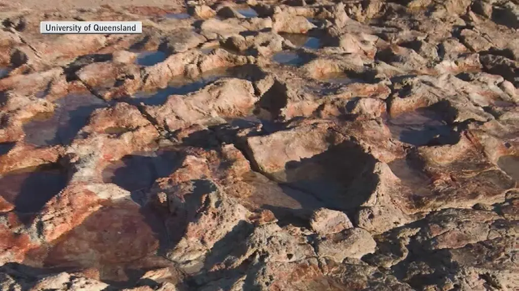 Ślady dinozaurów znalezione w Australii