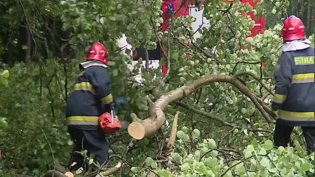 Straż Pożarna usuwająca zniszczenia po nawałnicy w okolicach Mysłowic