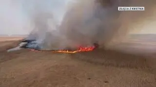 Tak wyglądał pożar w Biebrzańskim Parku Narodowym 