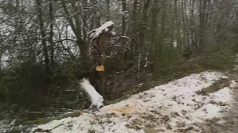 Tarnów w śniegu