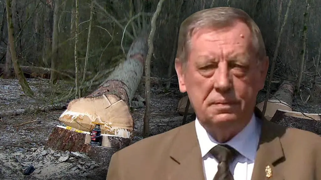 "To konstytucyjne prawo własności