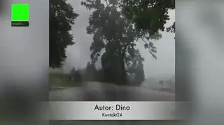 Uderzenie pioruna (Dino / Kontakt24)