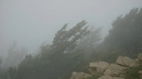 W górach wieje halny