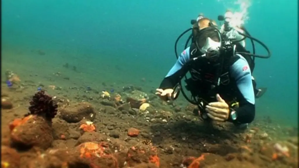 Wielkie oceaniczne przygody s2 e4 