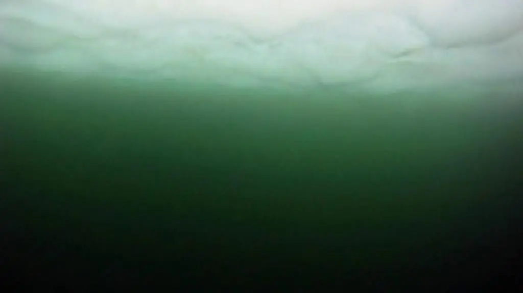 Woda Oceanu Arktycznego zmienia kolor (NASA)