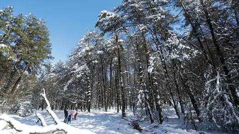 Wyjście do parku, gdzie nie ma ludzi, jest bezpieczne