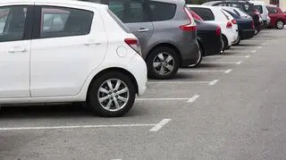 Wyższe opłaty parkingowe, płatny wjazd i strefy niskiej emisji. Czy uda się wygrać ze smogiem? ["Fakty" TVN]