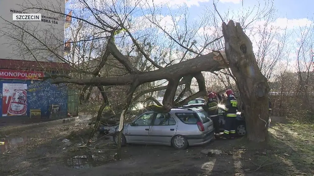 Zniszczenia po wichurze w Szczecinie
