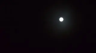 Wszystko z Marsem...
