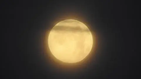DSCN2454