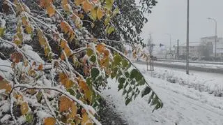 Zima w Opolu