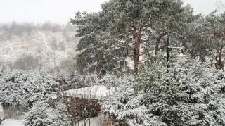 Władysławowo pomorskie o poranku