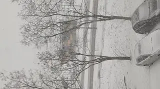Śnieżyca