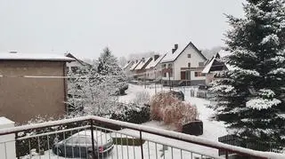 Zima