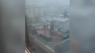 Zamieć śnieżna w Piasecznie
