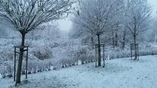 Przyszła zima do Wrocławia