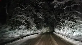 Przez ciemny zimowy las.Sulistrowice (dolnośląskie)