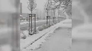 Śnieżna niedziela w Opolu