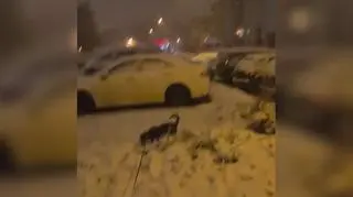 Biało w Łodzi