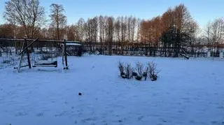 Zima