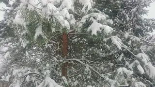 Ciągle sypie śniegiem