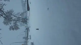 Zima