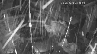 Burza z gwałtowną ulewą w Toruniu-piorun z monitoringu