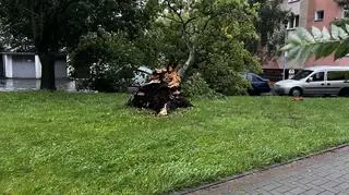 Skutki burzy w Kołobrzegu, 6.08