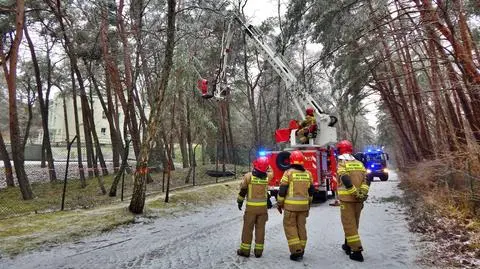 Trudne warunki na drogach, łamiące się drzewa, przerwy w dostawie prądu