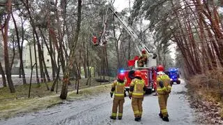 Interwencja straży pożarnej w Ustce