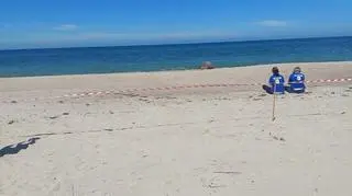 Mors na plaży koło Łazów