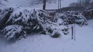 Śnieg