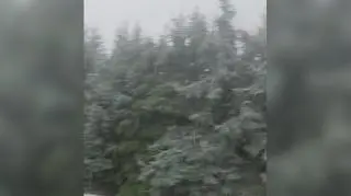 Potężne gradobicie, Tarnów