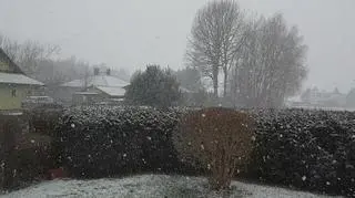 Śnieżyca w województwie opolskim