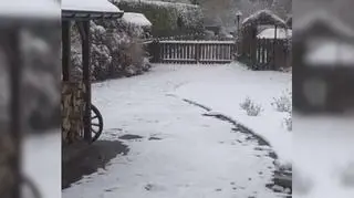 Bajkowo w Zalesiu Górnym