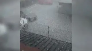 Grad, Tarnów