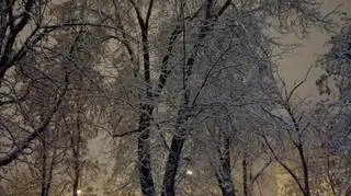 Łódź o poranku