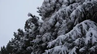 Pada cały dzień, zawiewa i zdmuchuje śnieżne ozdoby