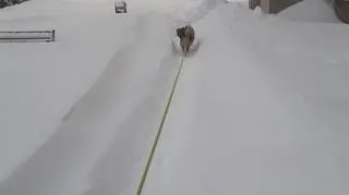 40 cm śniegu przez noc...