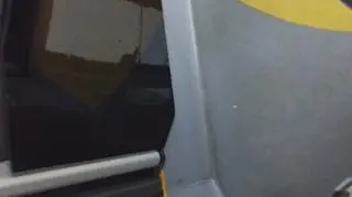 Radomsko rano