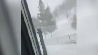 Śnieżyca w Beskidach