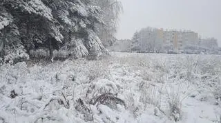 Siedlce w sobotni ranek