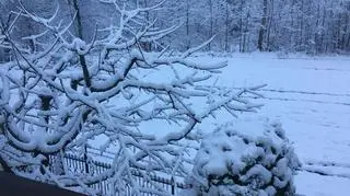 Zgierz dzisiaj z rana.