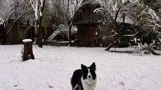 W Nowej Iwicznej zrobiło się biało