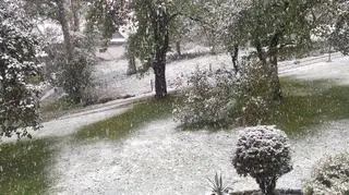Śnieg, Leśnica, koło Bukowiny Tatrzańskiej