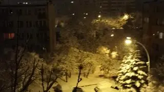 Śnieg