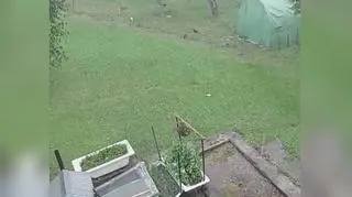 Grad w miejscowości Trzebinia (Śląskie)
